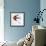 Bird Inspiration II-Irina Trzaskos Studio-Framed Giclee Print displayed on a wall