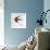 Bird Inspiration II-Irina Trzaskos Studio-Framed Giclee Print displayed on a wall