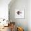 Bird Inspiration II-Irina Trzaskos Studio-Framed Giclee Print displayed on a wall