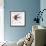 Bird Inspiration II-Irina Trzaskos Studio-Framed Giclee Print displayed on a wall