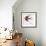 Bird Inspiration II-Irina Trzaskos Studio-Framed Giclee Print displayed on a wall