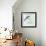 Bird Inspiration III-Irina Trzaskos Studio-Framed Giclee Print displayed on a wall