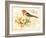 Bird Joy-Gwendolyn Babbitt-Framed Art Print