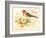 Bird Joy-Gwendolyn Babbitt-Framed Art Print