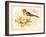 Bird Joy-Gwendolyn Babbitt-Framed Art Print