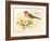 Bird Joy-Gwendolyn Babbitt-Framed Art Print