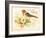 Bird Joy-Gwendolyn Babbitt-Framed Art Print