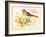 Bird Joy-Gwendolyn Babbitt-Framed Art Print