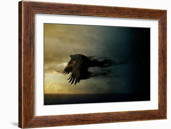 Bird Kingdom 2-Johan Lilja-Framed Giclee Print