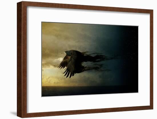 Bird Kingdom 2-Johan Lilja-Framed Giclee Print