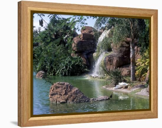 Bird Lagoon, Metrozoo, Miami, FL-Mark Gibson-Framed Premier Image Canvas