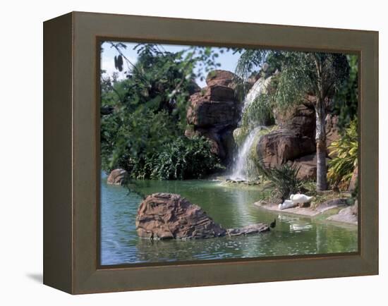 Bird Lagoon, Metrozoo, Miami, FL-Mark Gibson-Framed Premier Image Canvas