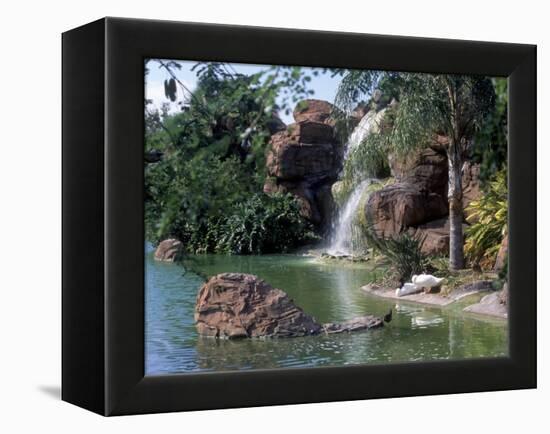 Bird Lagoon, Metrozoo, Miami, FL-Mark Gibson-Framed Premier Image Canvas