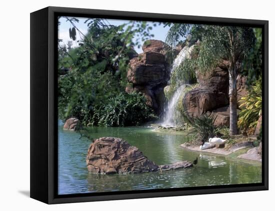 Bird Lagoon, Metrozoo, Miami, FL-Mark Gibson-Framed Premier Image Canvas