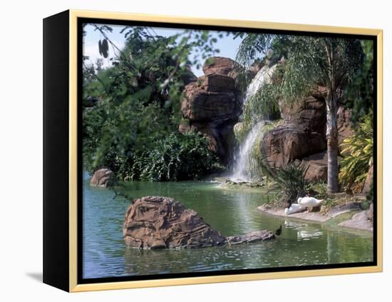 Bird Lagoon, Metrozoo, Miami, FL-Mark Gibson-Framed Premier Image Canvas