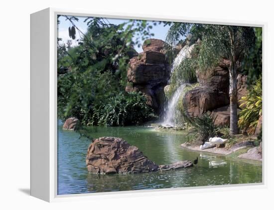 Bird Lagoon, Metrozoo, Miami, FL-Mark Gibson-Framed Premier Image Canvas