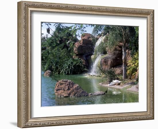 Bird Lagoon, Metrozoo, Miami, FL-Mark Gibson-Framed Photographic Print