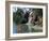 Bird Lagoon, Metrozoo, Miami, FL-Mark Gibson-Framed Photographic Print