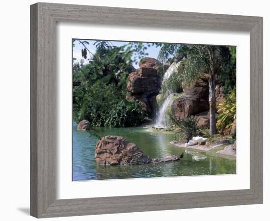 Bird Lagoon, Metrozoo, Miami, FL-Mark Gibson-Framed Photographic Print