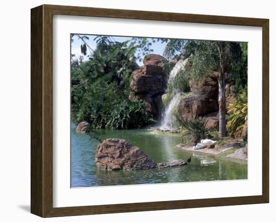 Bird Lagoon, Metrozoo, Miami, FL-Mark Gibson-Framed Photographic Print