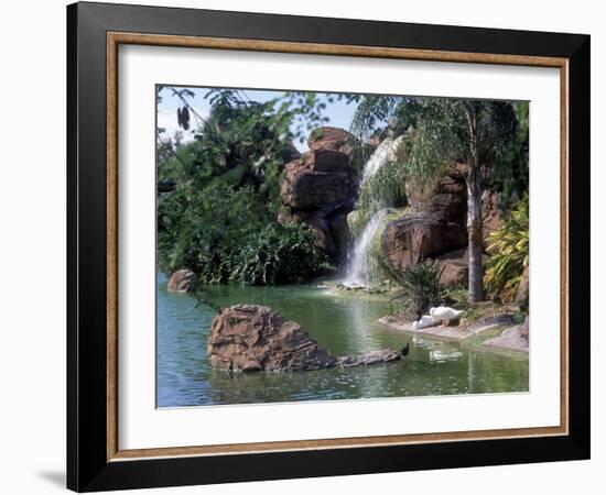 Bird Lagoon, Metrozoo, Miami, FL-Mark Gibson-Framed Photographic Print