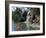 Bird Lagoon, Metrozoo, Miami, FL-Mark Gibson-Framed Photographic Print