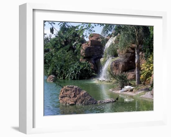 Bird Lagoon, Metrozoo, Miami, FL-Mark Gibson-Framed Photographic Print
