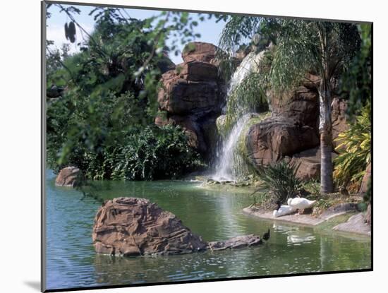 Bird Lagoon, Metrozoo, Miami, FL-Mark Gibson-Mounted Photographic Print