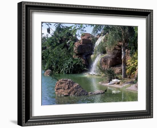 Bird Lagoon, Metrozoo, Miami, FL-Mark Gibson-Framed Photographic Print