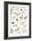 Bird Life-Clara Wells-Framed Giclee Print