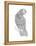 Bird Macaw-Neeti Goswami-Framed Stretched Canvas