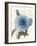 Bird Mail Three-Jace Grey-Framed Art Print