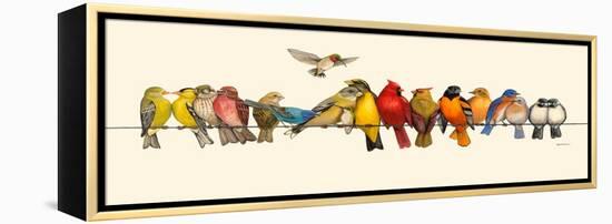 Bird Menagerie I-Wendy Russell-Framed Stretched Canvas