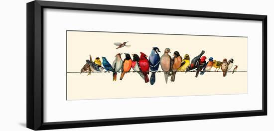 Bird Menagerie III-Wendy Russell-Framed Art Print