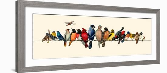 Bird Menagerie III-Wendy Russell-Framed Art Print