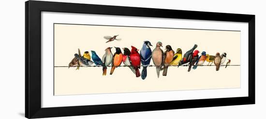 Bird Menagerie III-Wendy Russell-Framed Art Print