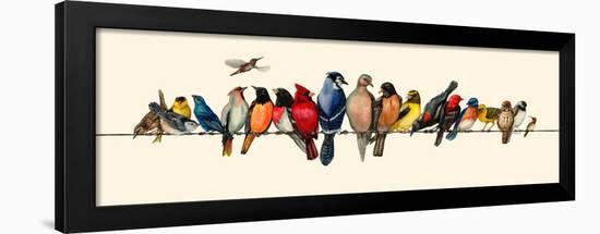 Bird Menagerie III-Wendy Russell-Framed Art Print