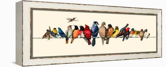 Bird Menagerie III-Wendy Russell-Framed Stretched Canvas
