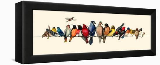 Bird Menagerie III-Wendy Russell-Framed Stretched Canvas