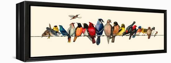 Bird Menagerie III-Wendy Russell-Framed Stretched Canvas