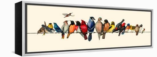 Bird Menagerie III-Wendy Russell-Framed Stretched Canvas