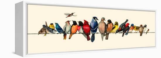 Bird Menagerie III-Wendy Russell-Framed Stretched Canvas