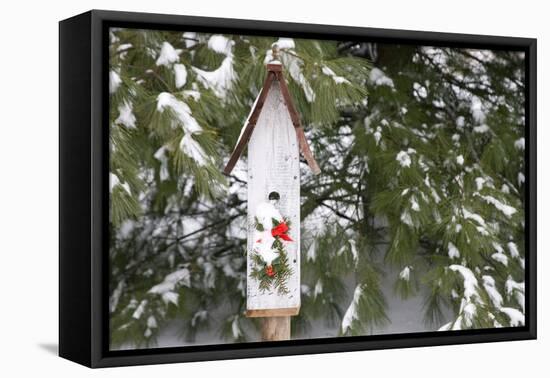 Bird, Nest Box with Holiday Swag in Winter, Marion, Illinois, Usa-Richard ans Susan Day-Framed Premier Image Canvas