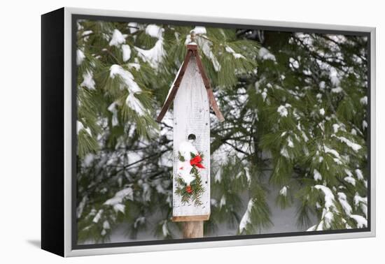 Bird, Nest Box with Holiday Swag in Winter, Marion, Illinois, Usa-Richard ans Susan Day-Framed Premier Image Canvas
