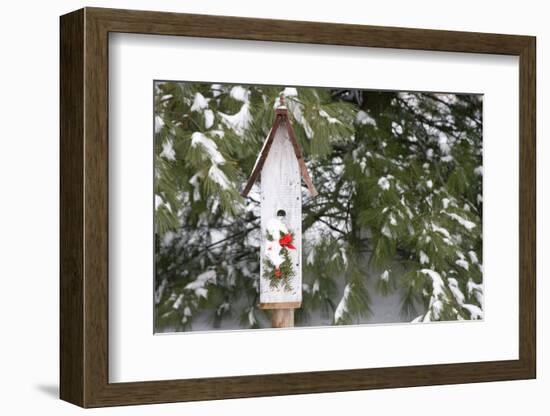 Bird, Nest Box with Holiday Swag in Winter, Marion, Illinois, Usa-Richard ans Susan Day-Framed Photographic Print