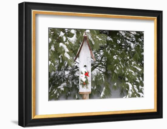 Bird, Nest Box with Holiday Swag in Winter, Marion, Illinois, Usa-Richard ans Susan Day-Framed Photographic Print