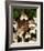 Bird nest kousa dogwood-null-Framed Art Print