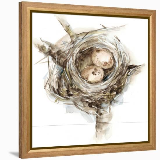 Bird Nest Study I-Ethan Harper-Framed Stretched Canvas