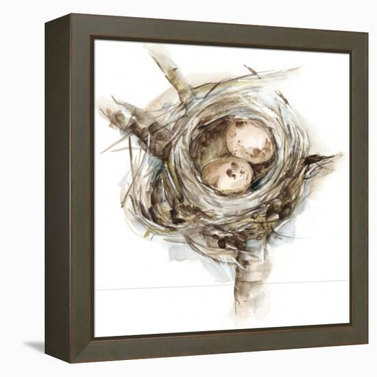 Bird Nest Study I-Ethan Harper-Framed Stretched Canvas