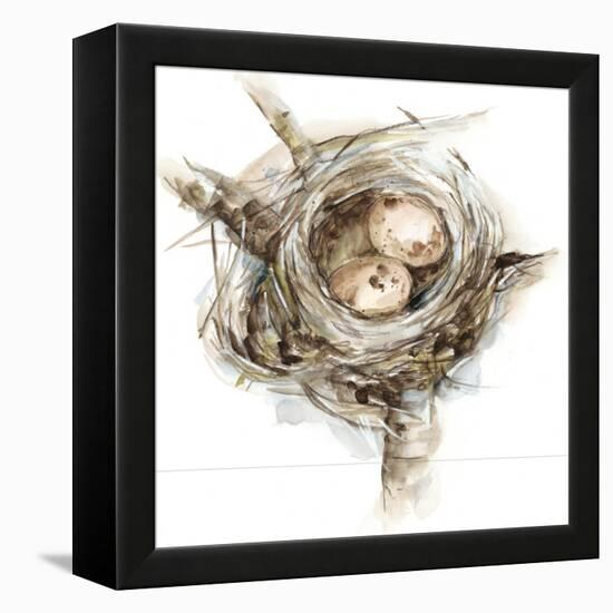 Bird Nest Study I-Ethan Harper-Framed Stretched Canvas